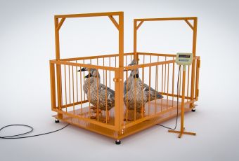 картинка Весы платформенные МВСК С-Н-0,3 (0,75х1,0) с ограждением для взвешивания животных