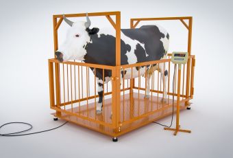 картинка Весы платформенные МВСК С-Н-0,3 (0,75х1,0) с ограждением для взвешивания животных