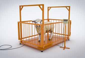 картинка Весы платформенные МВСК С-Н-1 с ограждением для взвешивания животных